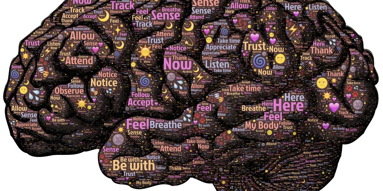 FBO-develop-your-mind