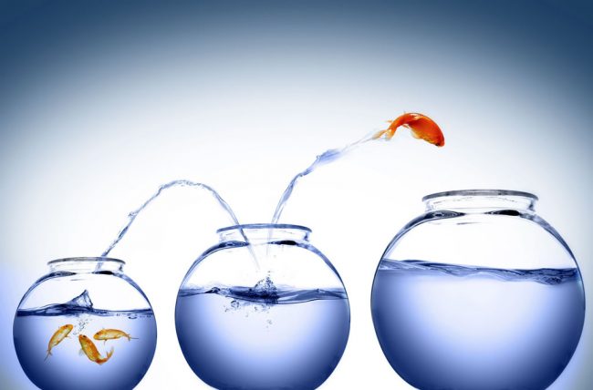 8538732 – overcome the obstacle