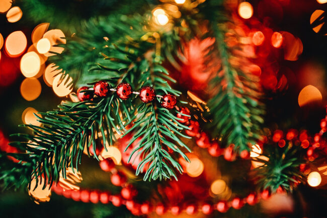 Processed with VSCO with a6 preset